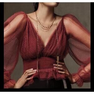 Anthropologie Tulle Blouse With Sheer Puff Sleeves in Brown Size XS